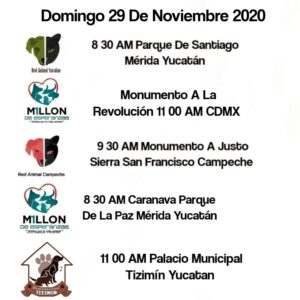 flyer marcha