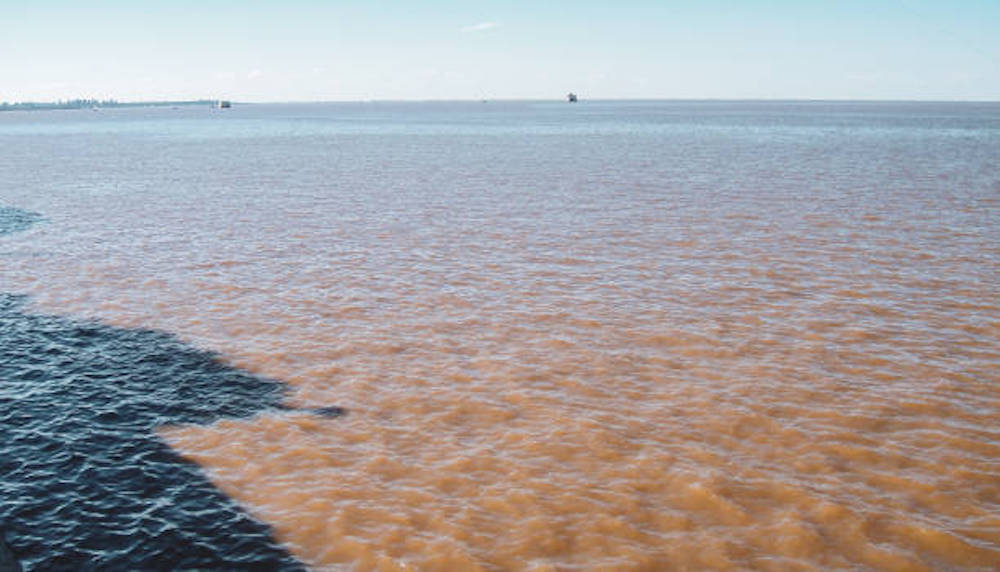 Fishermen near jorge newbery international airport in buenos aires