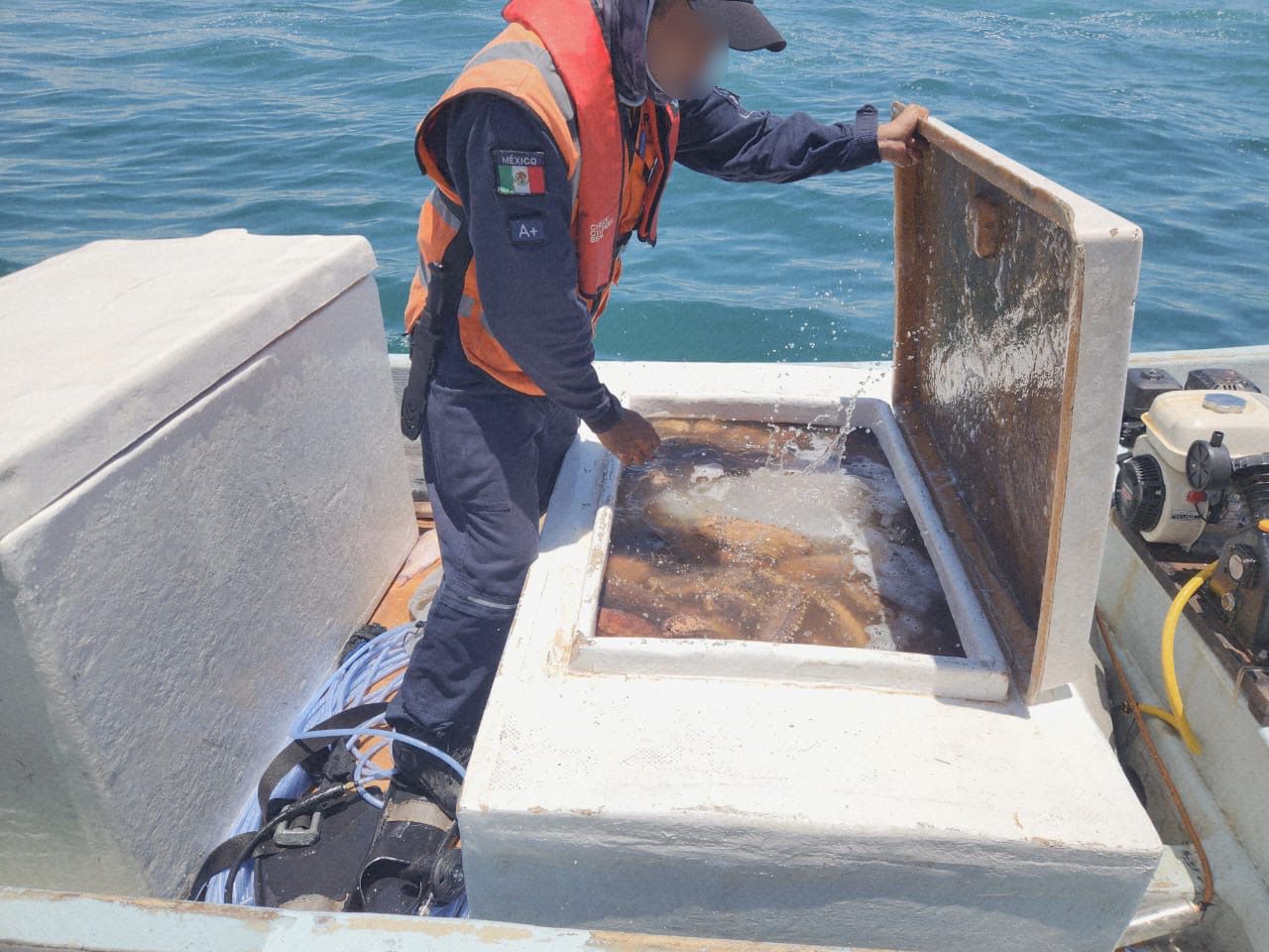 Pesca furtiva 1