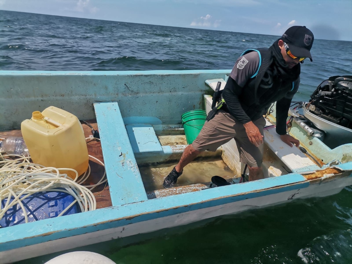 Pescadores (2)