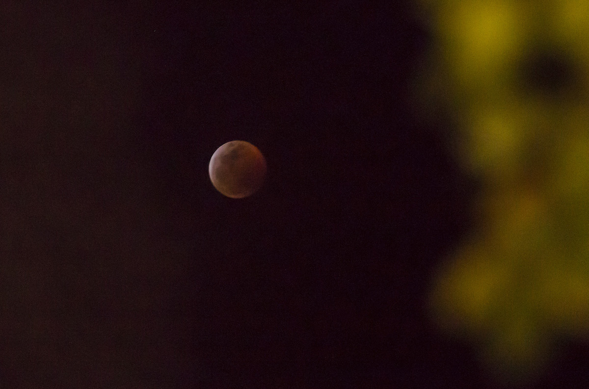 Eclipse Luna Roja