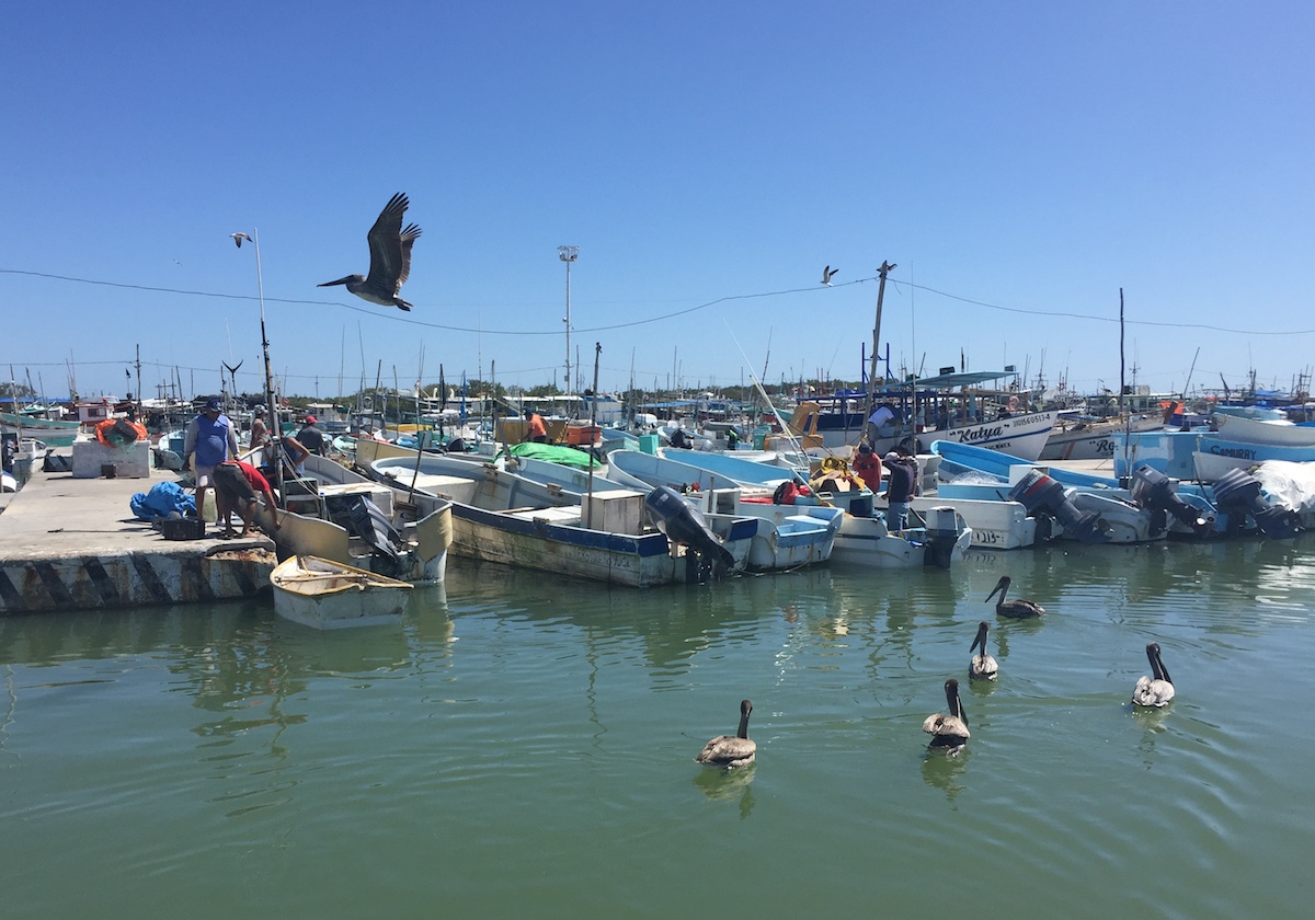 Caleta Pescadores