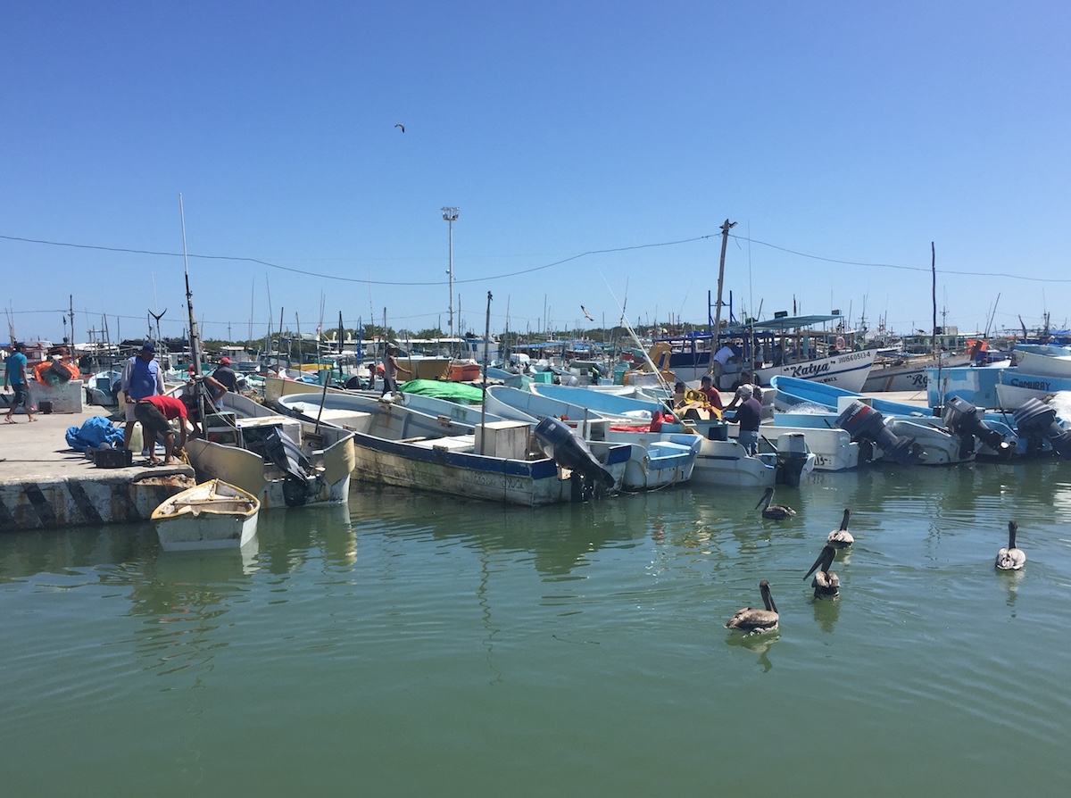 Caleta Pescadores