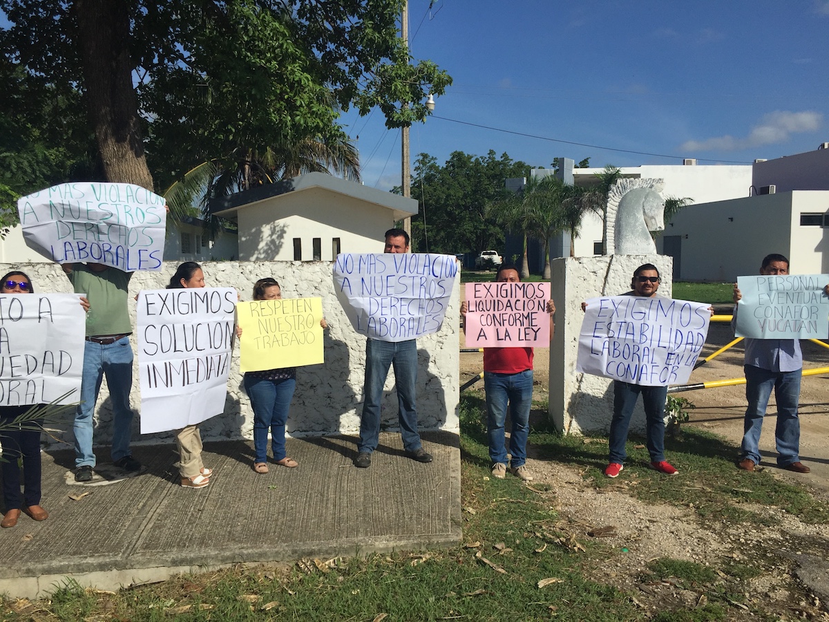 Conafor Protesta