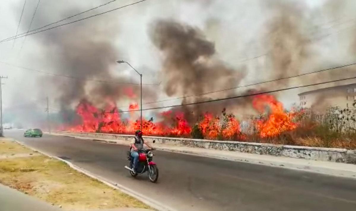 Incendio Sendero