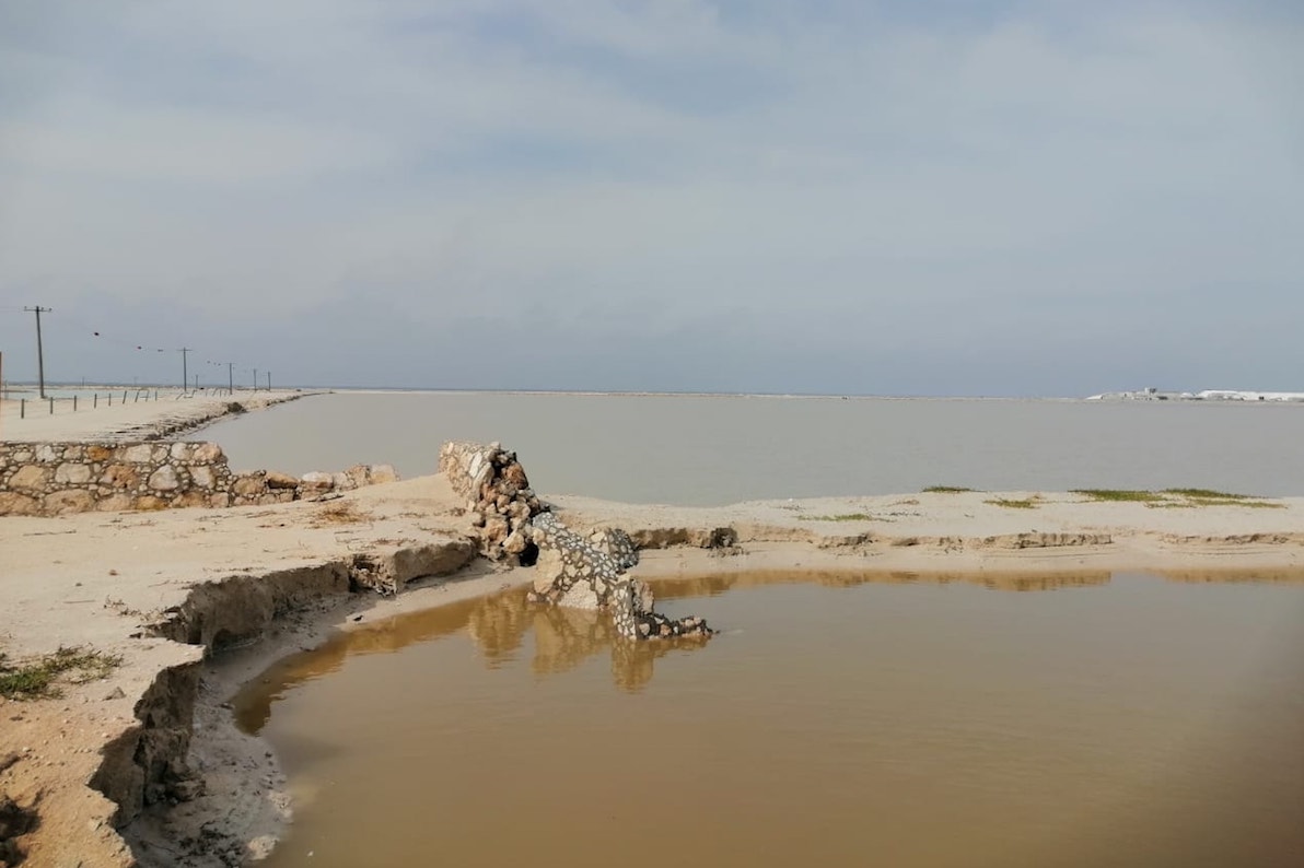 Coloradas