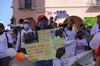 Marcha maltrato 3