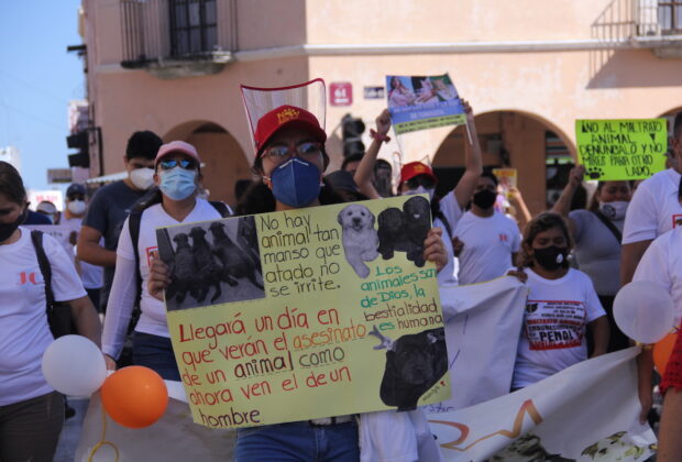 Marcha maltrato 3