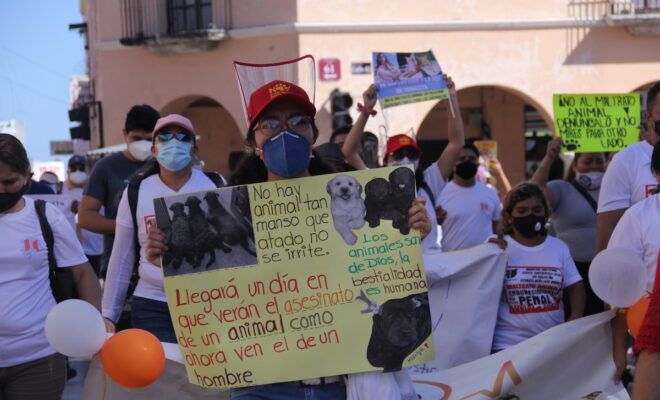 Marcha maltrato 3