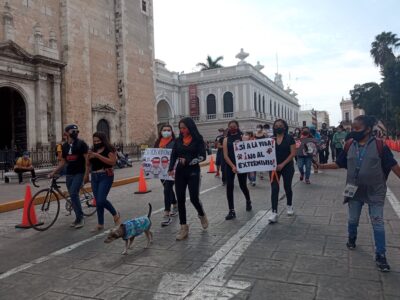 Marcha animales 1