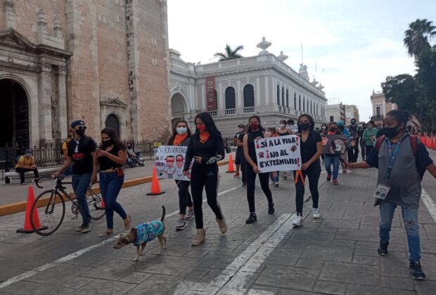 Marcha animales 1
