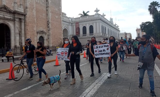 Marcha animales 1