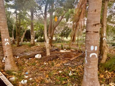 Arboles tristes