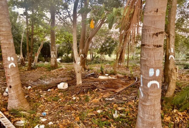 Arboles tristes