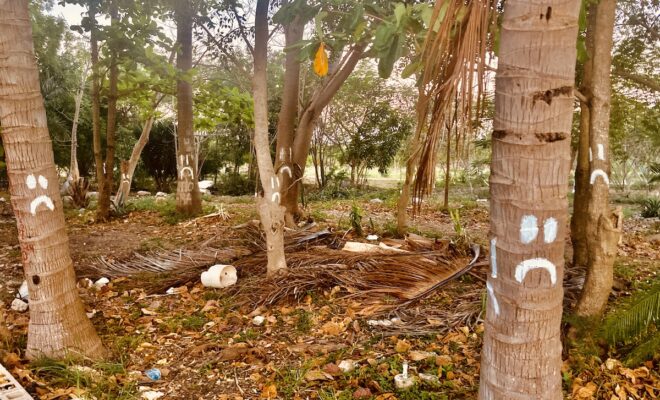 Arboles tristes