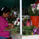 Mujeres Flores