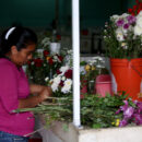 Mujeres flores