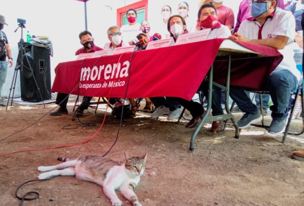Morena rueda de prensa