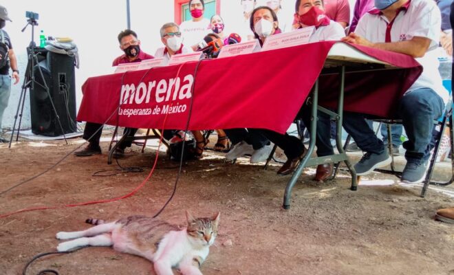 Morena rueda de prensa