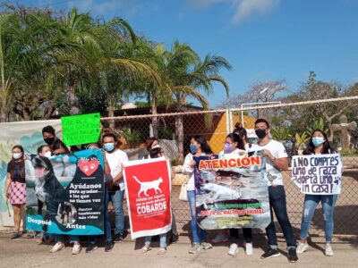 Cemca protesta