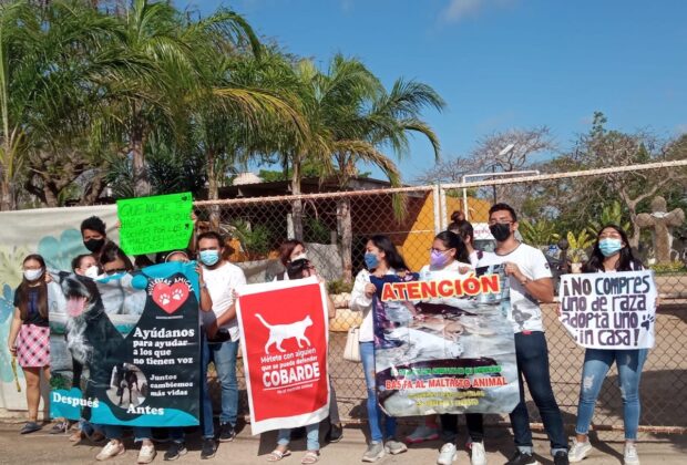 Cemca protesta