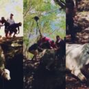 Vaca cenotr