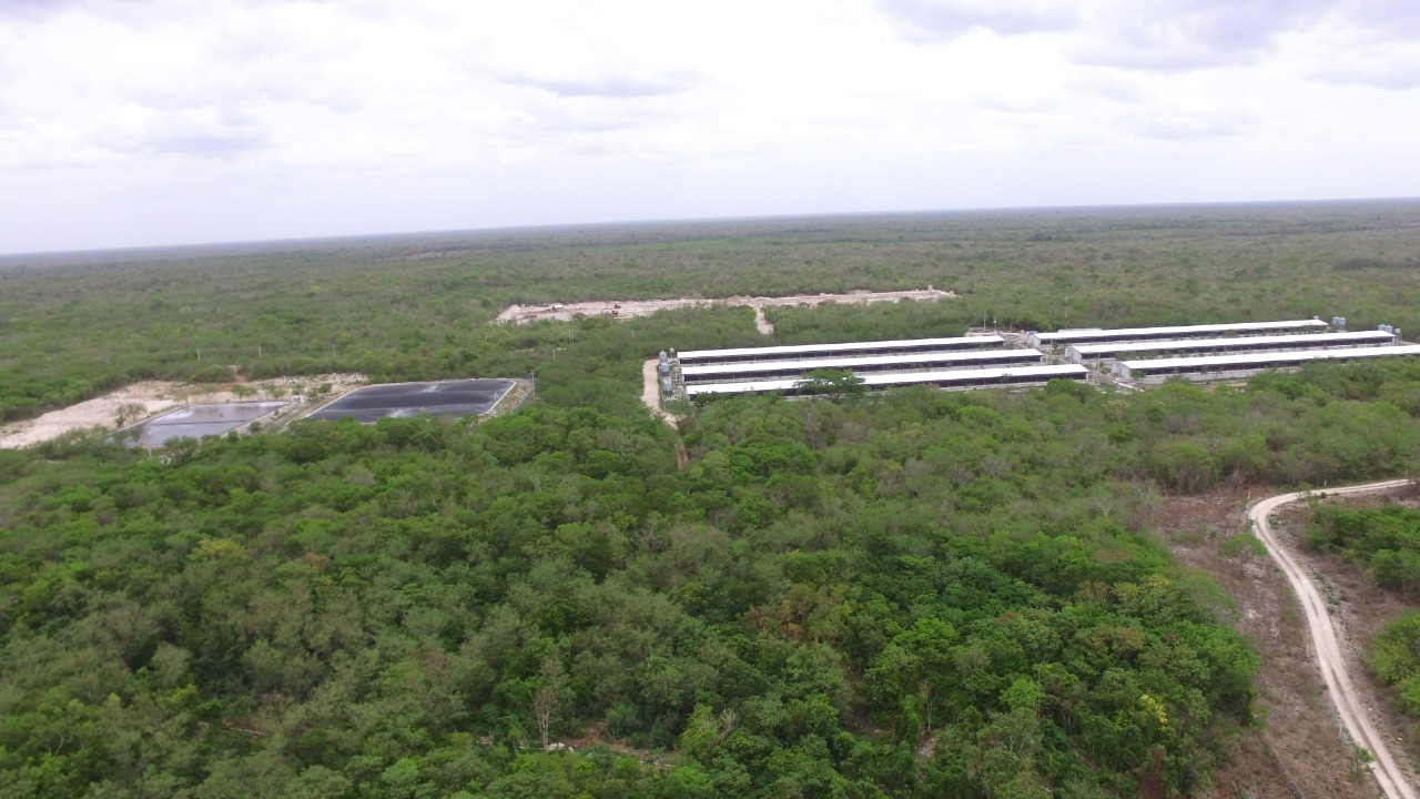 Granja Izamal