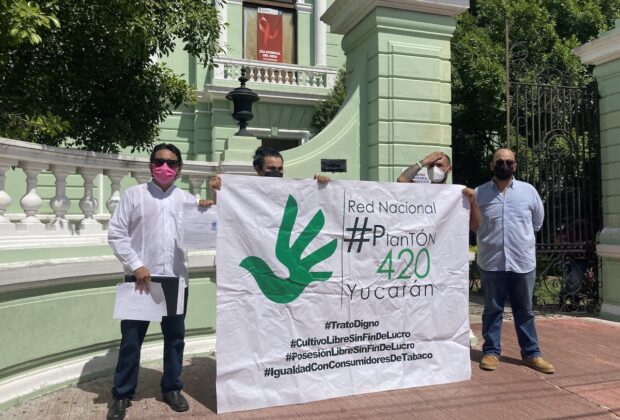 Marihuana cofepris