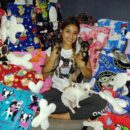 Sofia camas perritos