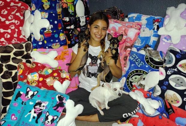 Sofia camas perritos