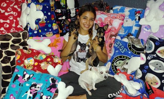 Sofia camas perritos