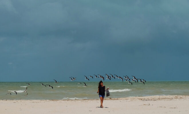 Playa
