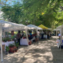 Defraudaron a productores de mercado orgánico en mérida