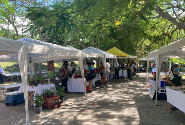 Defraudaron a productores de mercado orgánico en mérida