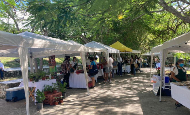 Defraudaron a productores de mercado orgánico en mérida