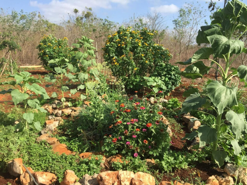 La agroecología, una forma de vida y el derecho a comer bien (1)