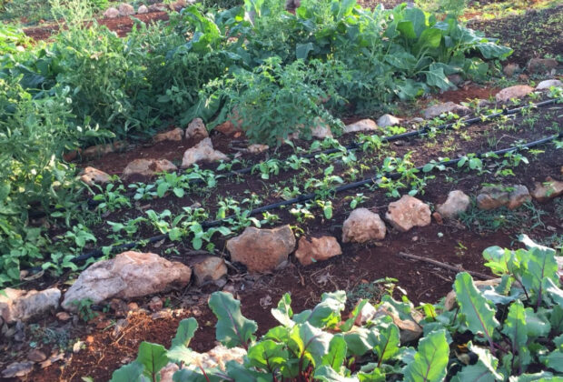 La agroecología, una forma de vida y el derecho a comer bien