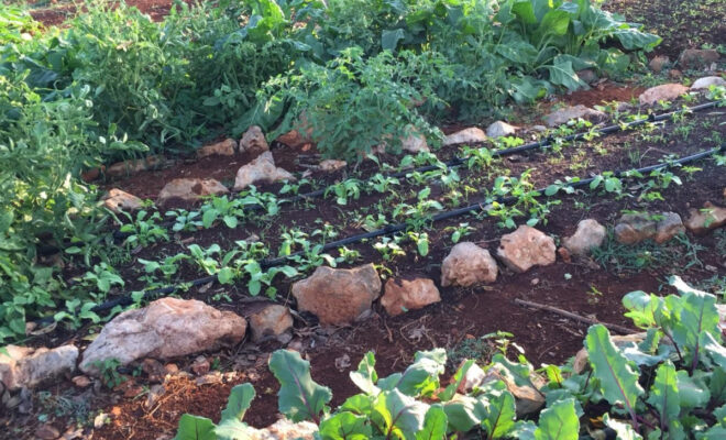 La Agroecología, Una Forma De Vida Y El Derecho A Comer Bien