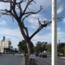 Nuevo proyecto (14)