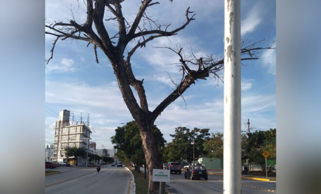Nuevo proyecto (14)