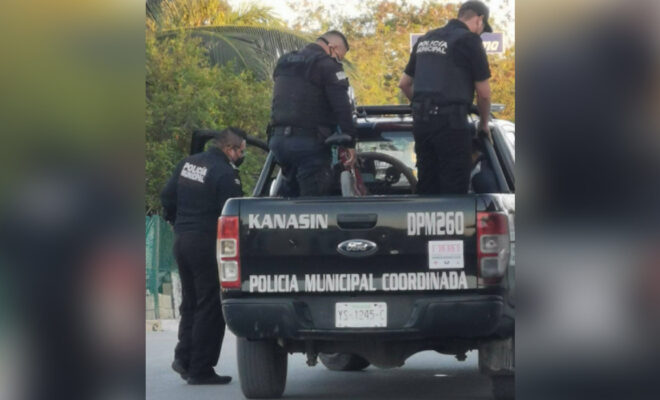 Nuevo proyecto (15)