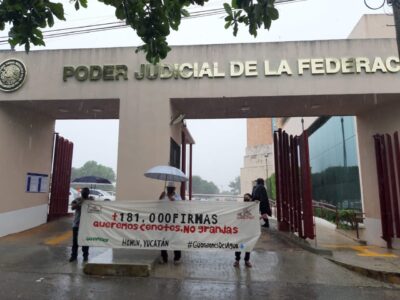Firmas homun
