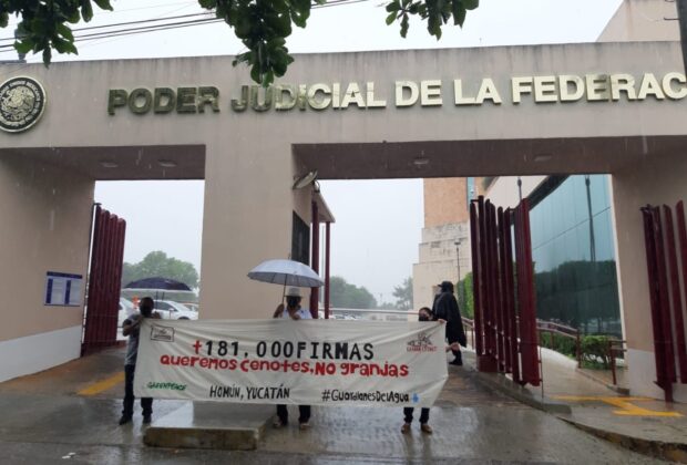 Firmas homun