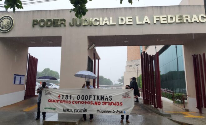 Firmas homun