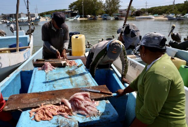 Pescadores sisal