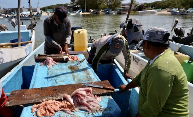 Pescadores sisal