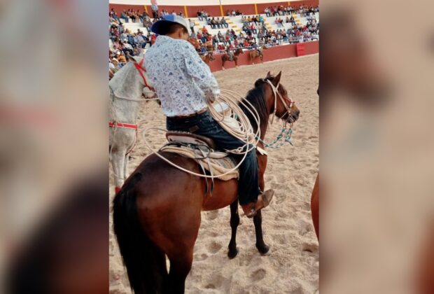 Torneo lazo