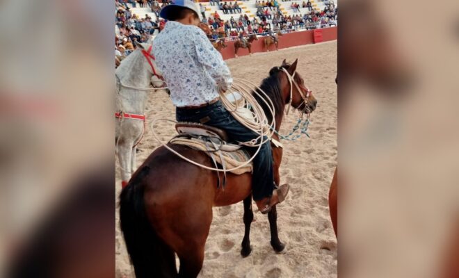 Torneo lazo