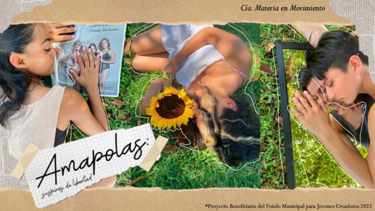 amapolas (1)