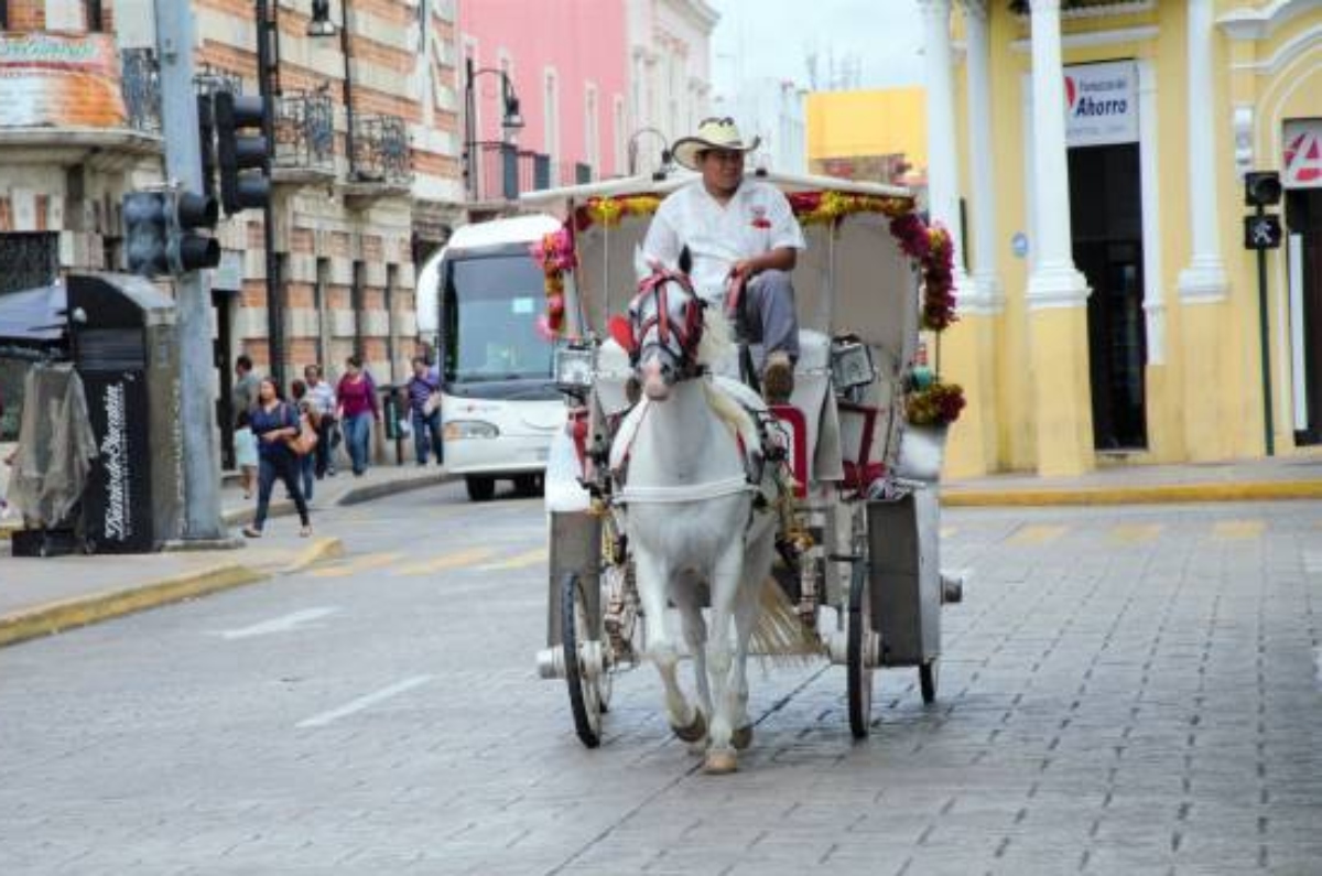 Calesasmérida